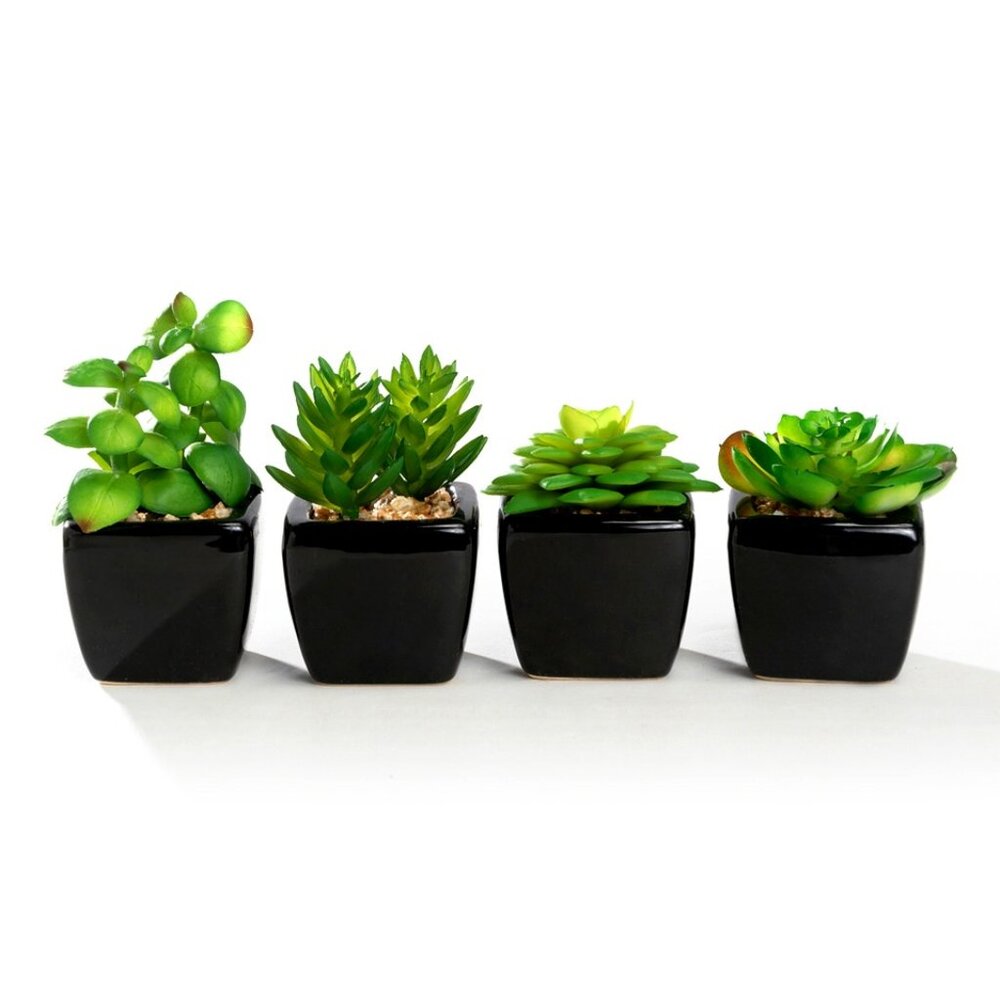 Set of 4 Mini Artificial Different Succulents Potted in Black Cube Pots